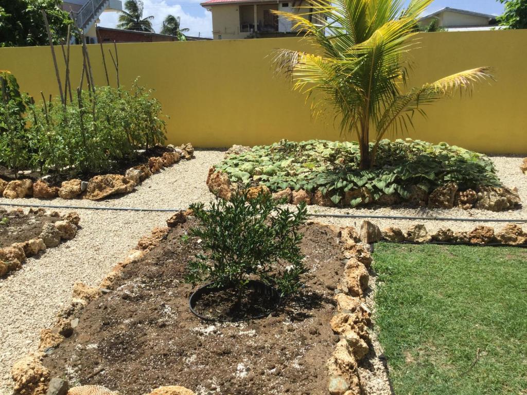 Zahrada ubytování CC Best Villas Tobago