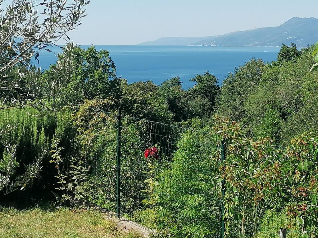 Príroda v okolí apartmánu