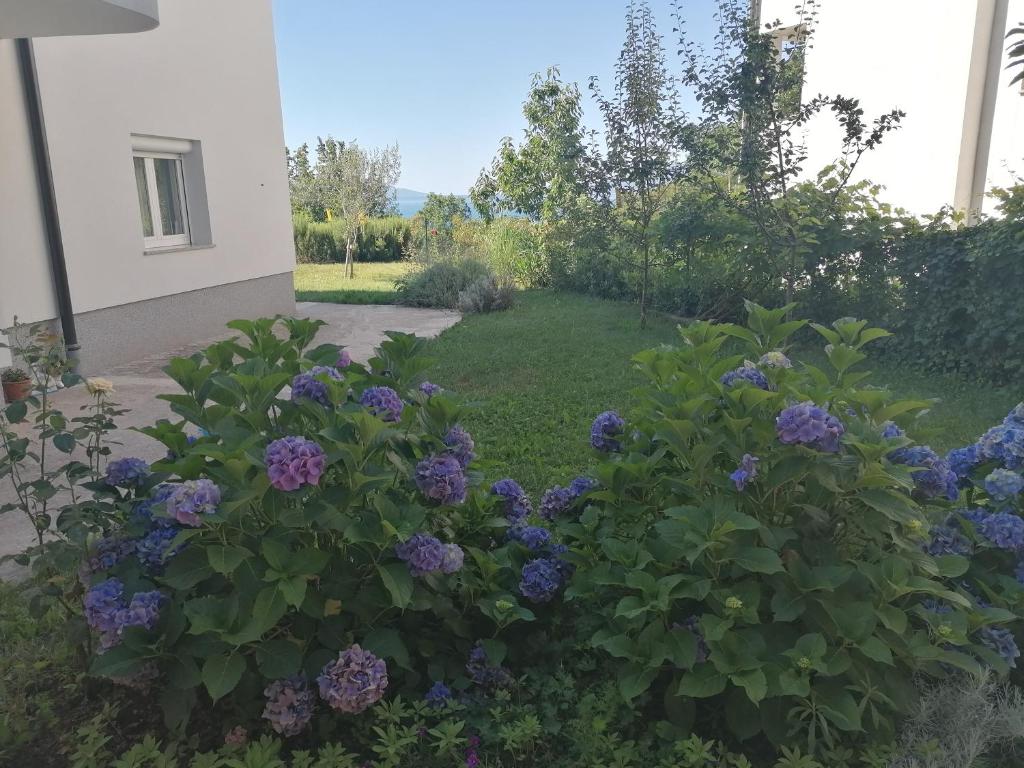 Vonkajšia záhrada v ubytovaní Apartment The View Costabella
