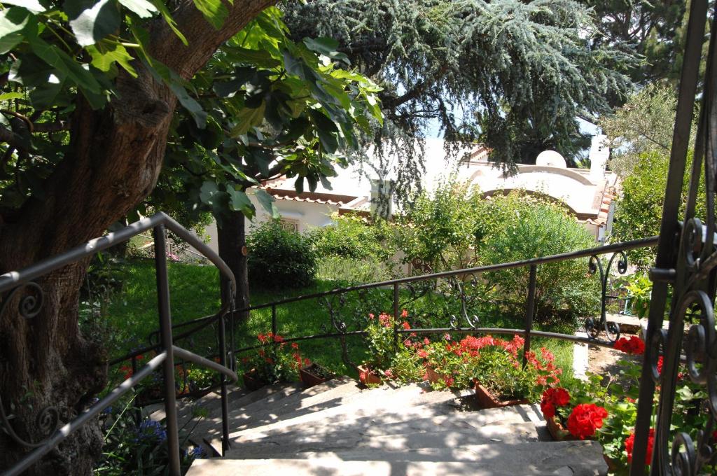 Zahrada ubytování Casa Augusto B&B