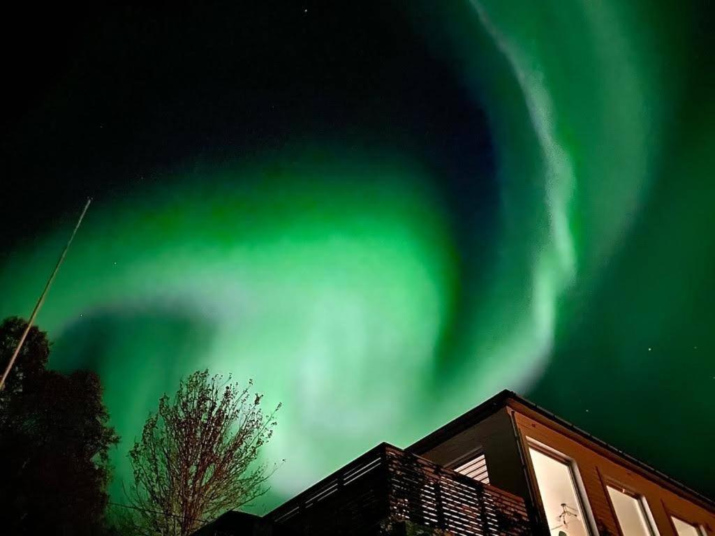 Fotografie z fotogalerie ubytování Waterfront Senja v destinaci Torsken