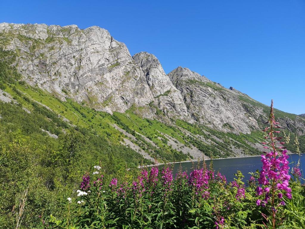 Příroda nedaleko apartmánu