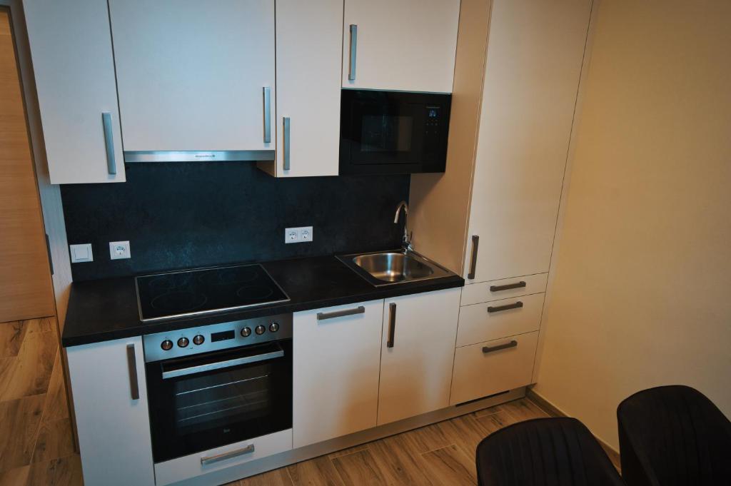 Kuchyňa alebo kuchynka v ubytovaní M-24 Apartments