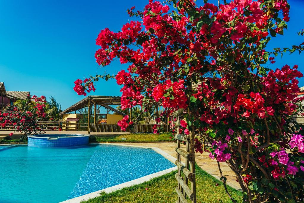 uma árvore com flores vermelhas ao lado de uma piscina em ChaleVille coqueiro - Chalé 2101 em Luis Correia