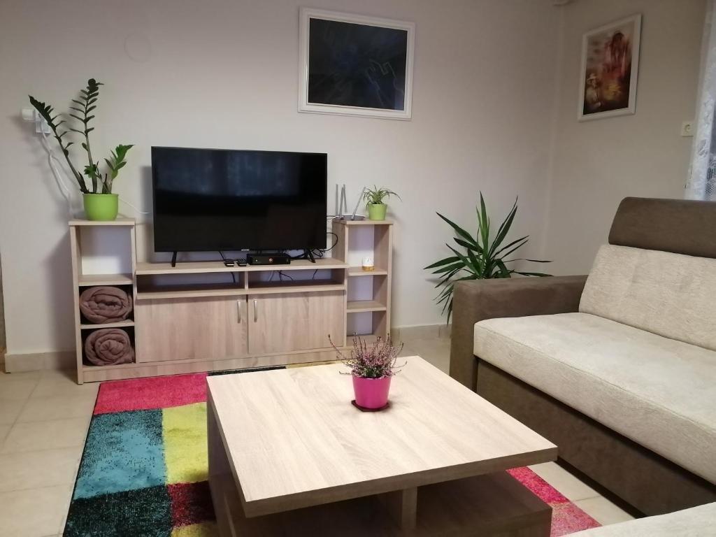 Televízia a/alebo spoločenská miestnosť v ubytovaní Jászay vendégház Parádsasvár