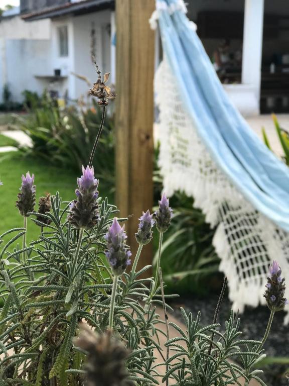  LOFT CHARMOSO - Praia do Campeche