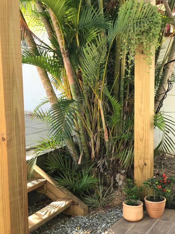  LOFT CHARMOSO - Praia do Campeche