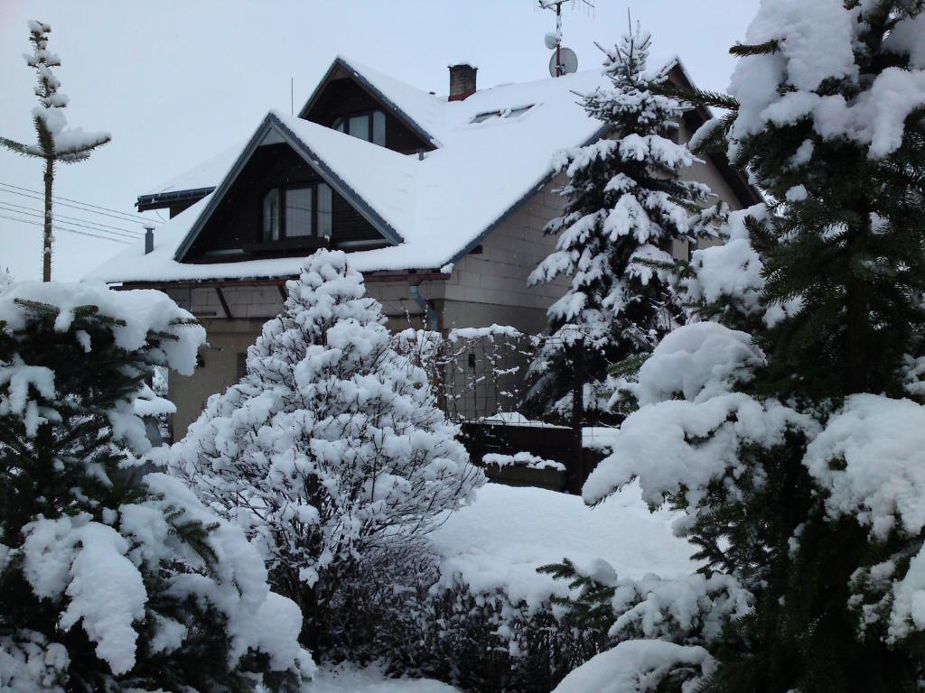 Privat Apartma Ulrych v zimě
