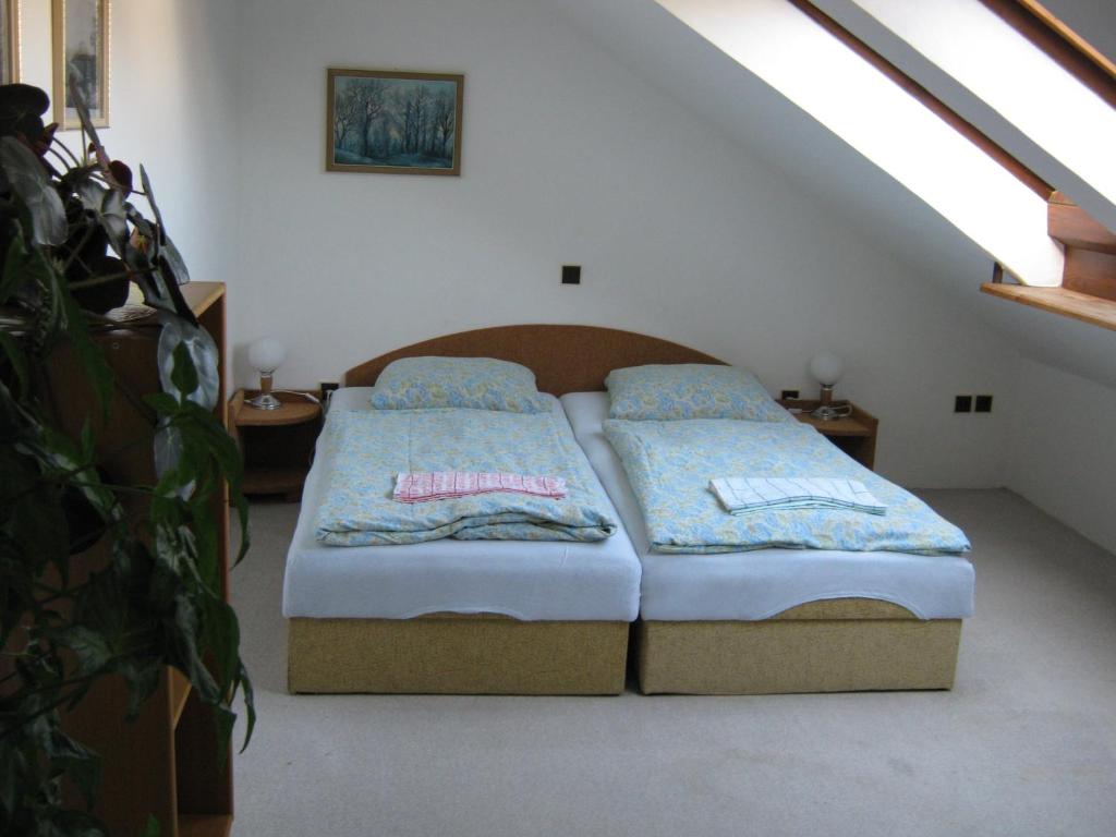 Postel nebo postele na pokoji v ubytování Privat Apartma Ulrych