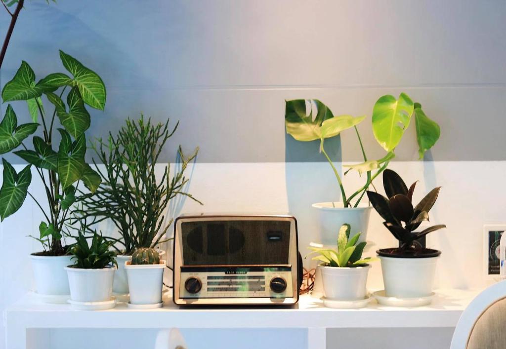 Ratana Hotel Rassada, PHUKET TOWN- SHA Extra Plus - Resim 18