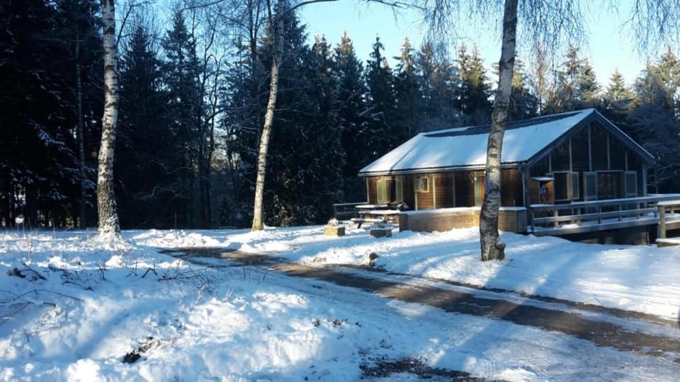 Chalet "A l Orée du bois" v zimě