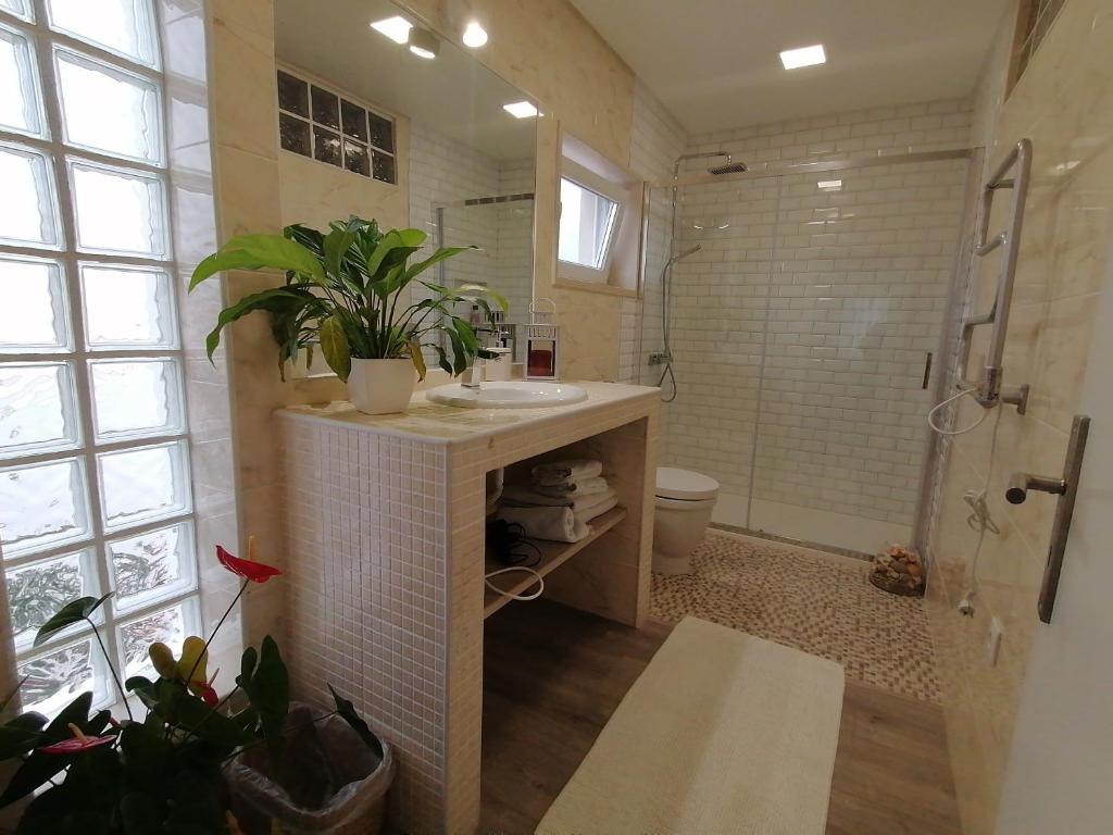 Silver Home 4