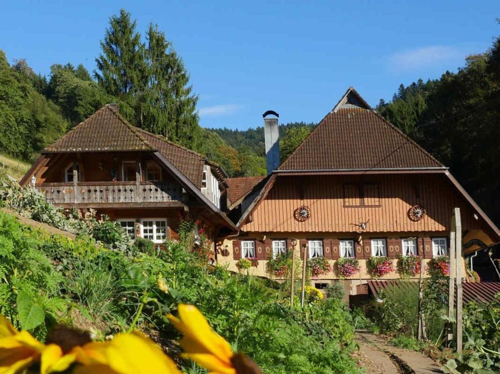 una grande casa in legno in mezzo a una collina di Hinterbauer Hof a Oberharmersbach