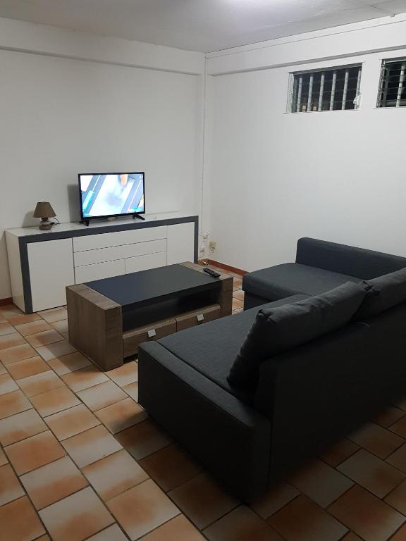 TV a/nebo společenská místnost v ubytování Appartement de la Baie