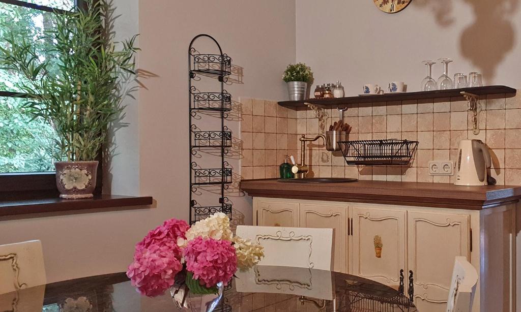 Kuchyň nebo kuchyňský kout v ubytování Boutique Vila Artemide