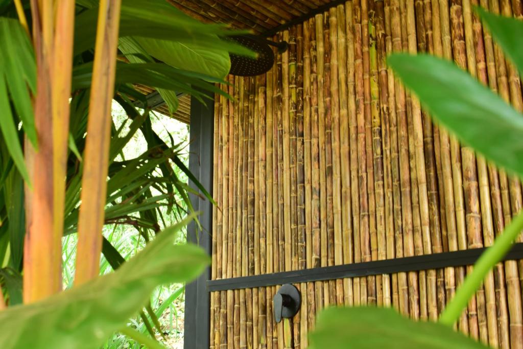 a bamboo building with a window and some plants at Bio Habitat Hotel in Armenia