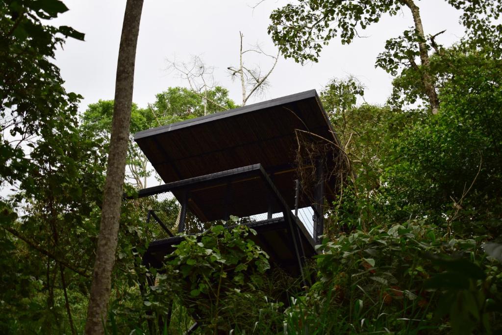 a tree house in the middle of the forest at Bio Habitat Hotel in Armenia