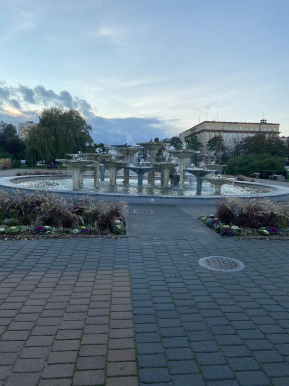 Príroda v okolí apartmánu
