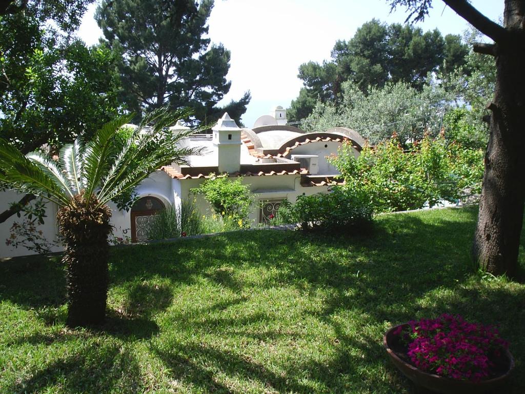 Zahrada ubytování Casa Augusto B&B