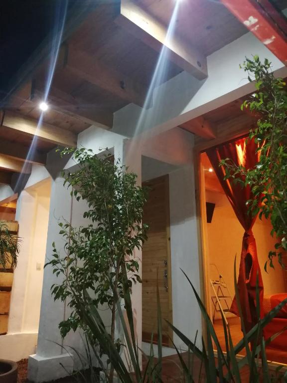 Encino House