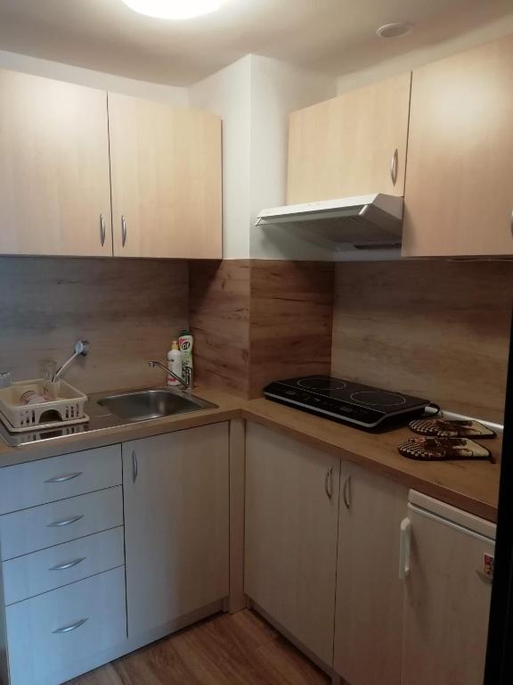 Kuchyň nebo kuchyňský kout v ubytování Apartmán u Babičky Ždiar