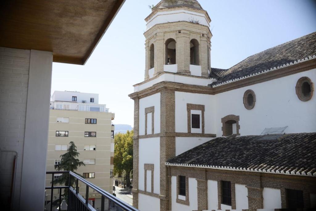 Pinsapo (Centro ciudad) - 18