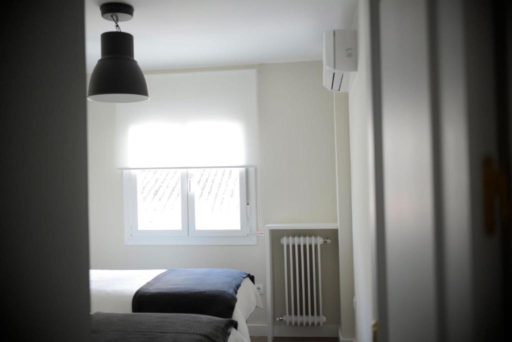 Pinsapo (Centro ciudad) - 16