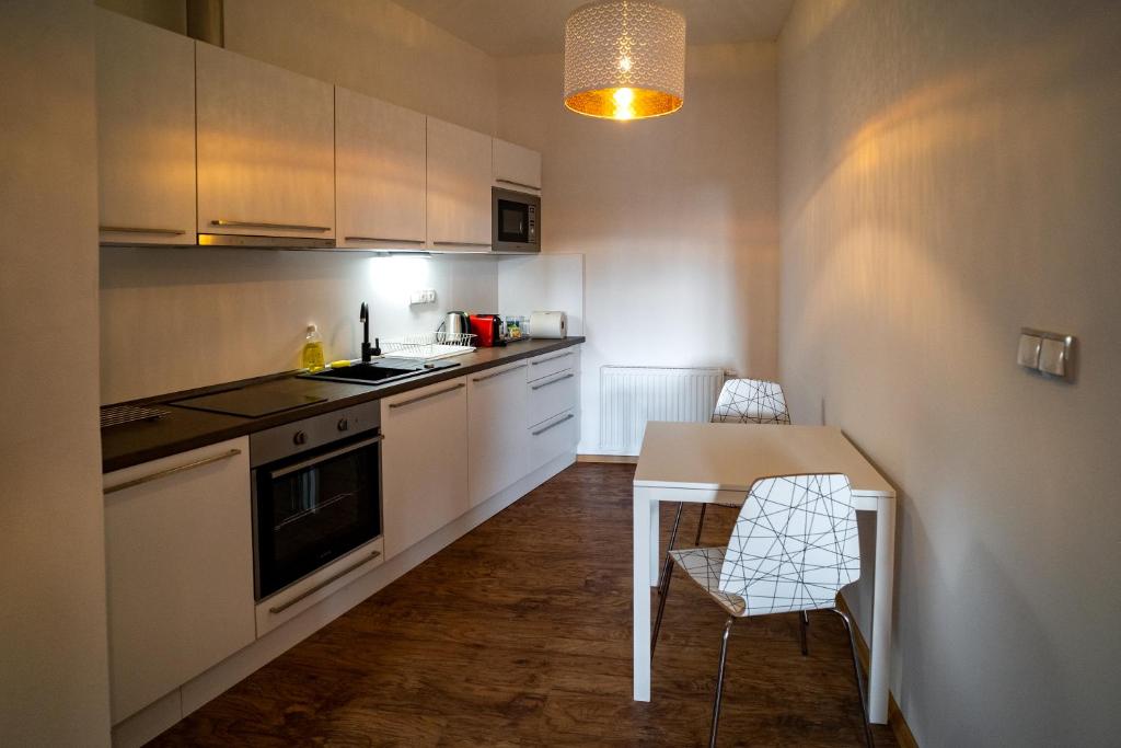 Virtuvė arba virtuvėlė apgyvendinimo įstaigoje Apartmany Pisek
