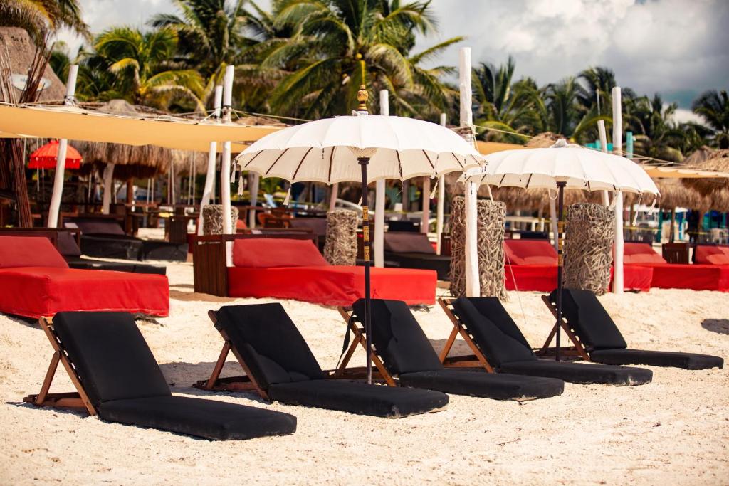 Serenity Glamping Riviera Tulum by Xperience Hotels