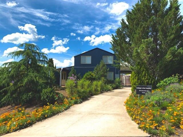 a house with a driveway leading to a garden at Cottage in the Country in Tumut