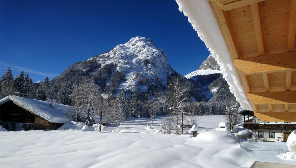 Alpenchalet im Leutaschtal v zime