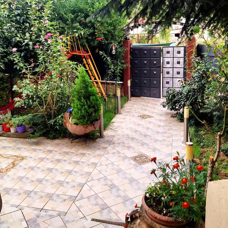 Ogród w obiekcie Alexandras cozy apartment Ioannina