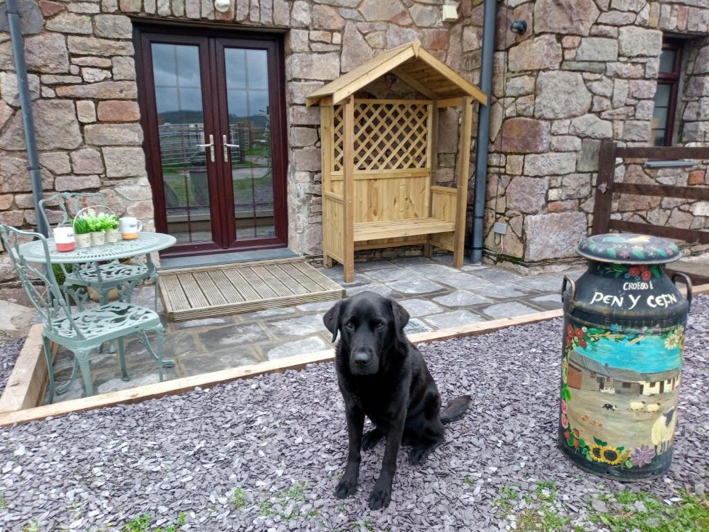 a black dog sitting in front of a house at Conwy Pen Cefn Farm Holiday in Abergele