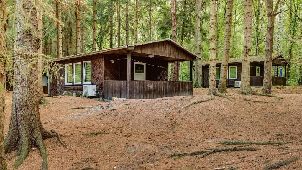 uma pequena cabana no meio de uma floresta em Feriendorf Fynnus em Dranske