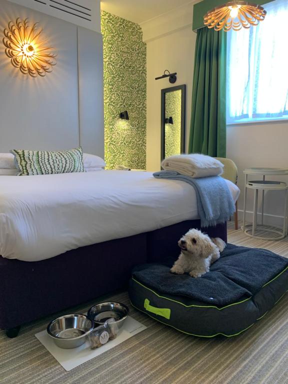 
Deluxe Double Room - Dog Friendly
