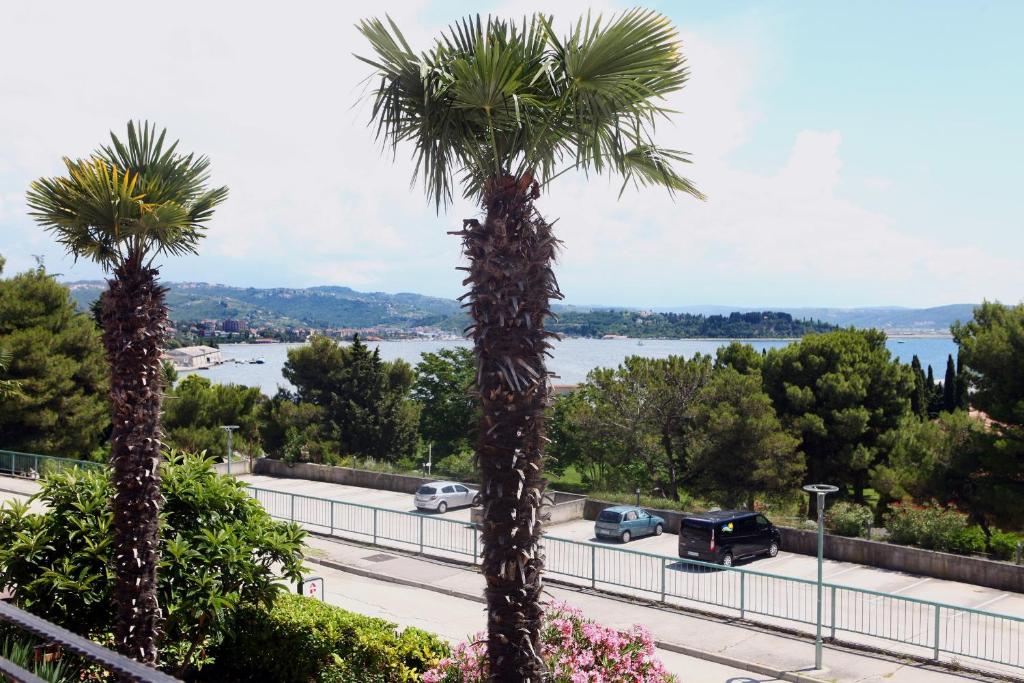 dos palmeras al lado de una carretera en Beautiful Bay View Apartment Portoroz IU en Portorož