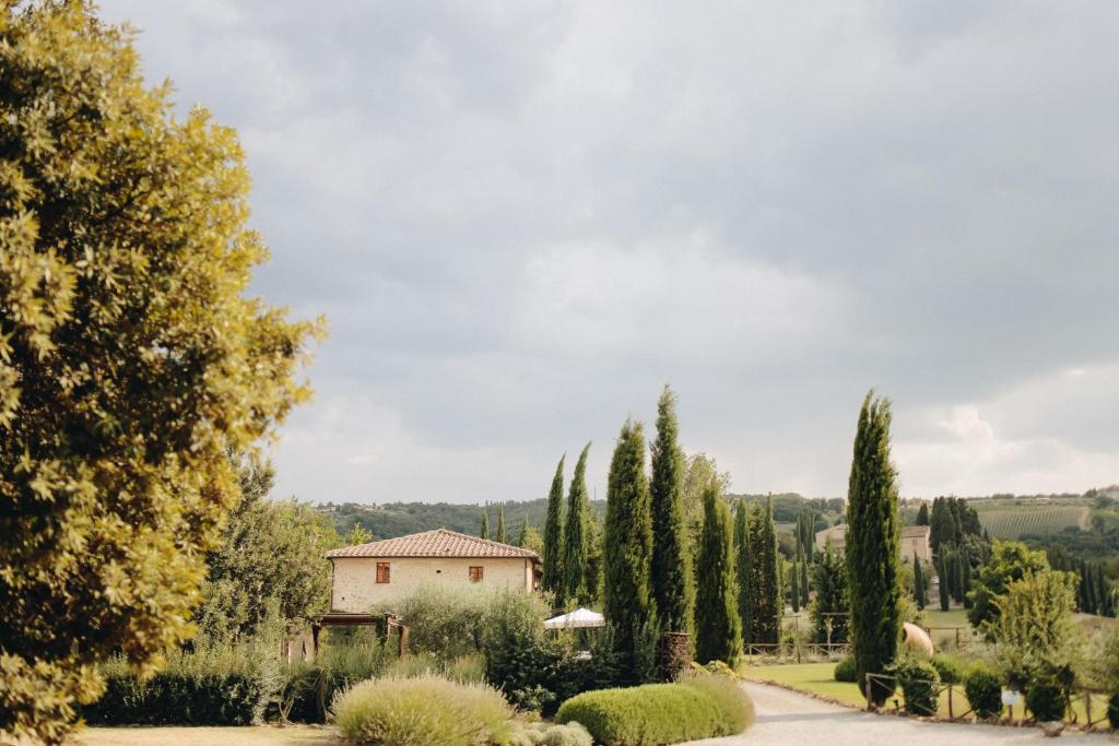 Príroda v okolí of the country house