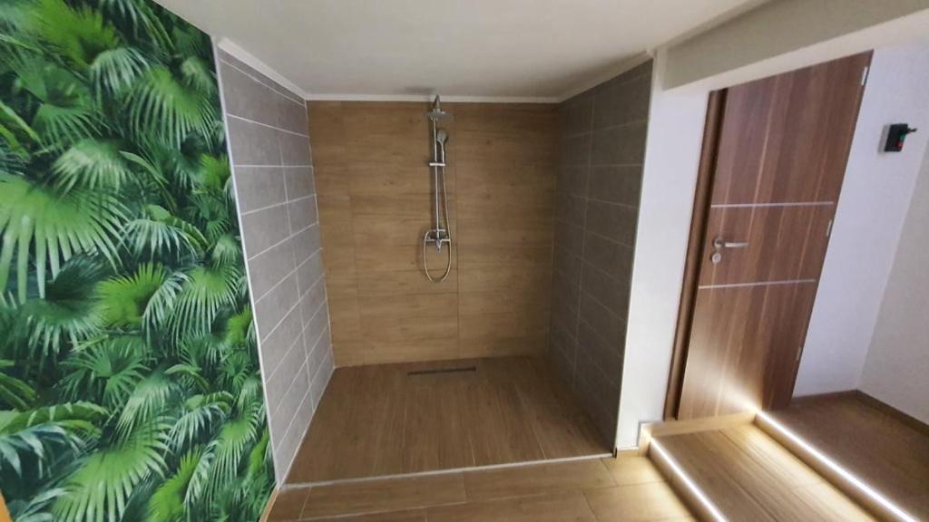 eine Duschkabine im Bad mit Wandgemälde in der Unterkunft Kék Lagúna Panzió in Dombrád