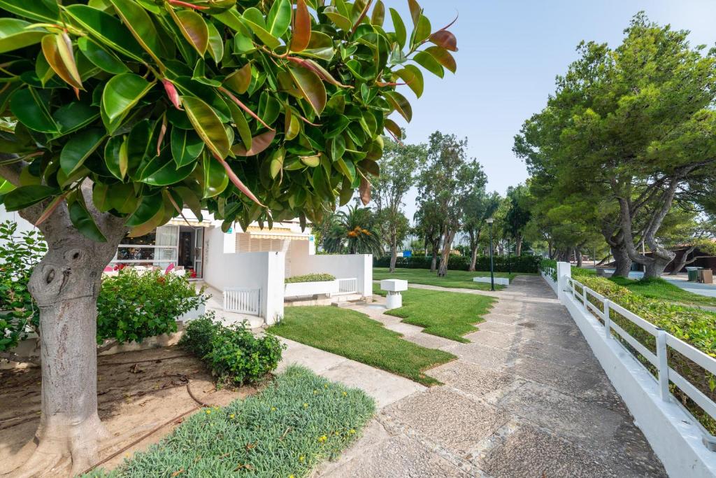 A garden outside Apartamento 23 Edificio Canopus