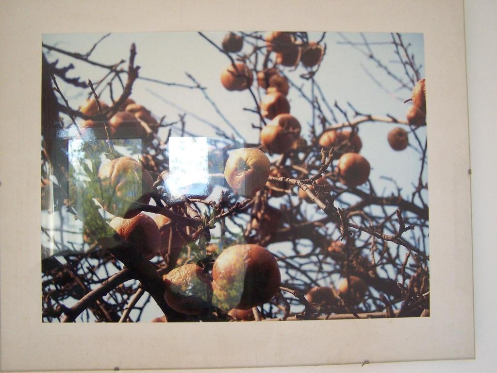 Bright Side Apartment Koszutka - 12