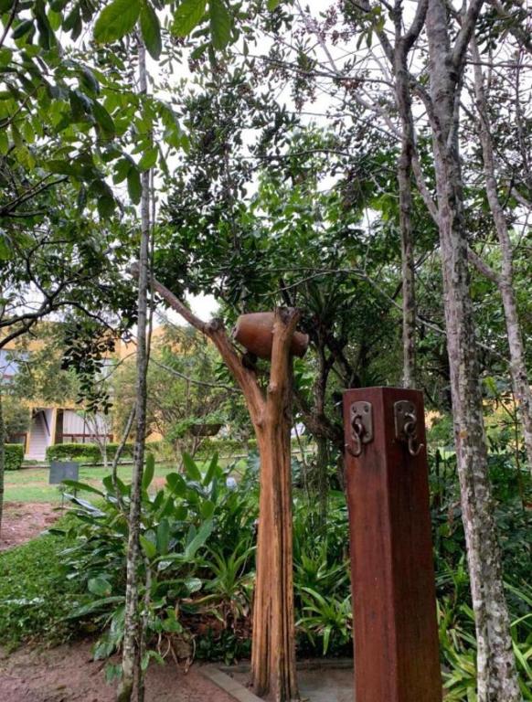  FLAT PARAISO DA SERRA NEGRA-BEZERROS PE