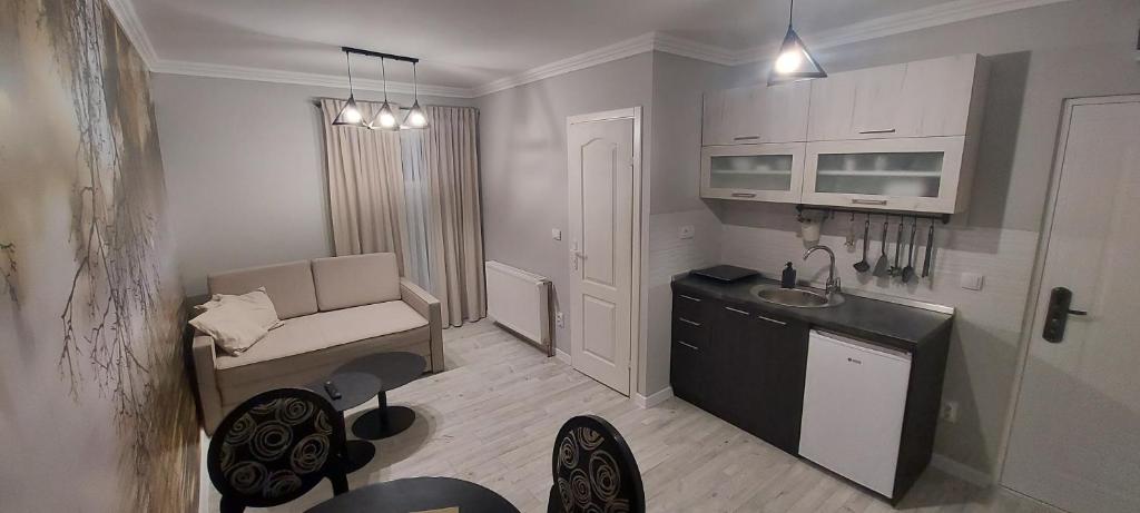 Kuchyň nebo kuchyňský kout v ubytování APARTMAN studio DADO