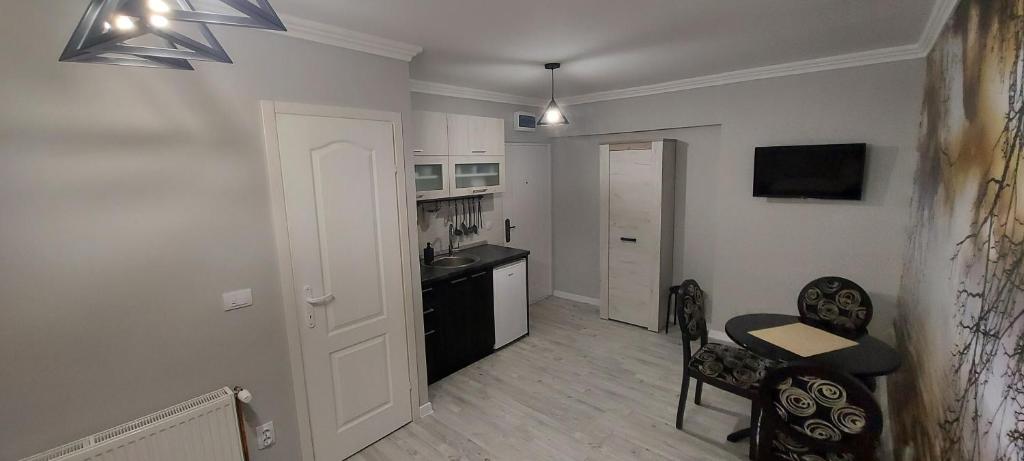 Kuchyň nebo kuchyňský kout v ubytování APARTMAN studio DADO