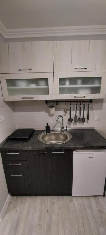 Kuchyň nebo kuchyňský kout v ubytování APARTMAN studio DADO