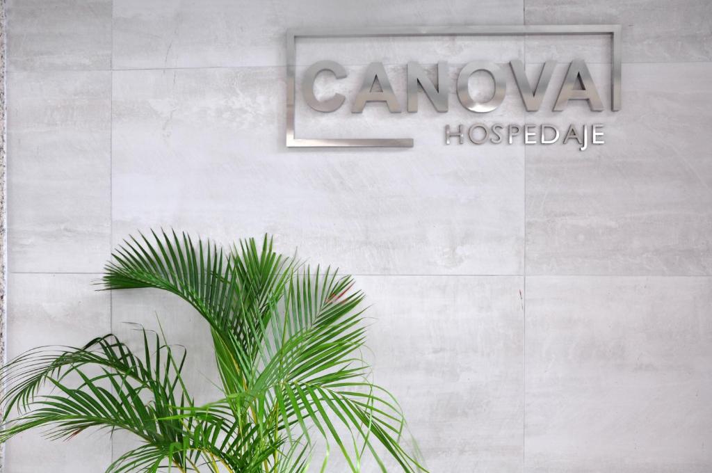 Certificato, attestato, insegna o altro documento esposto da Canova