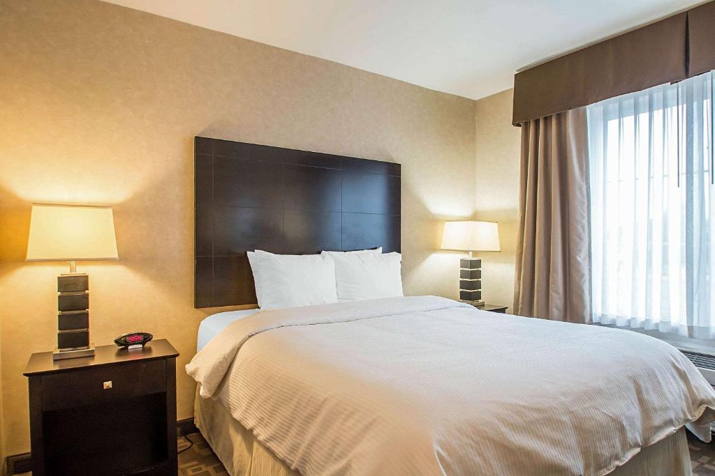 Postel nebo postele na pokoji v ubytování Clarion Inn Elmhurst - Oak Brook near I-88, I-290, I-294