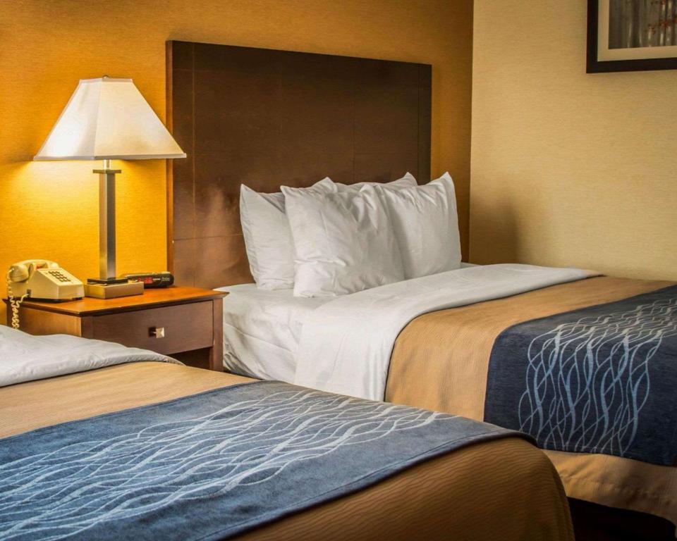 Quality Inn & Suites Port Huron - クイーンルーム（禁煙）