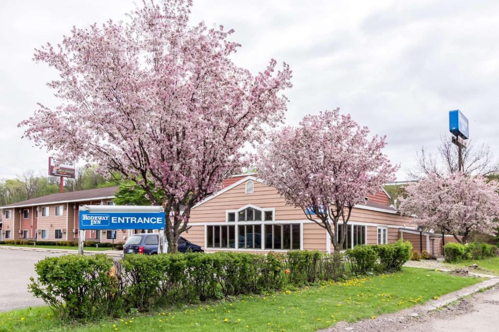 two trees with pink flowers in front of a building at Rodeway Inn Red Wing in Red Wing