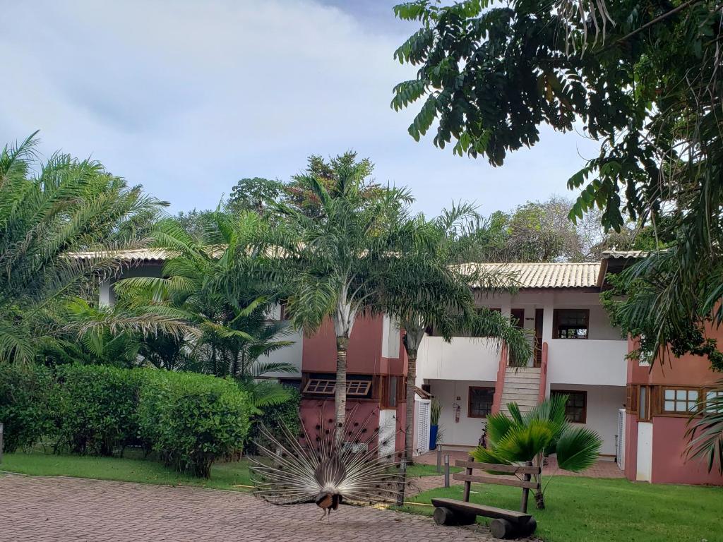  Apto incrível em condomínio lindo