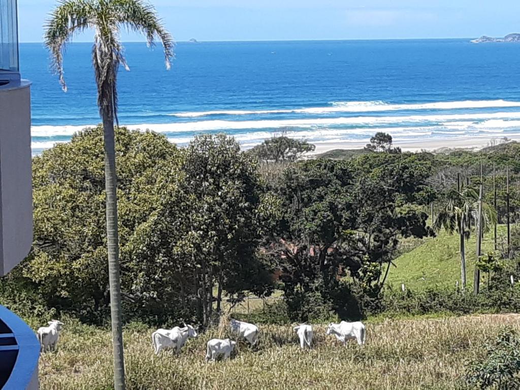  APARTAMENTO 403 COMPLETO no PARAISO DAS PRAIAS LIMPAS DE IMBITUBA